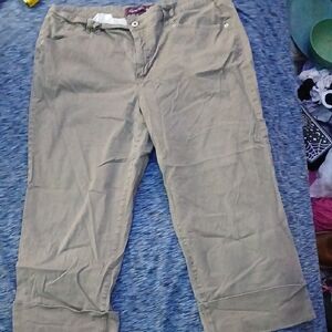 Gloria Vanderbilt Brown Pants